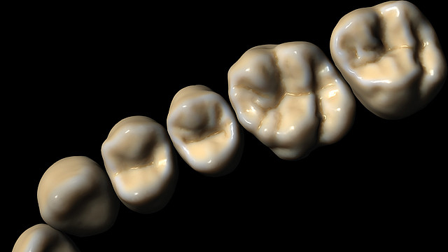 Library of Natural Teeth